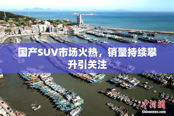 国产SUV市场火热，销量持续攀升引关注