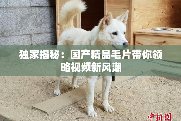 独家揭秘：国产精品毛片带你领略视频新风潮