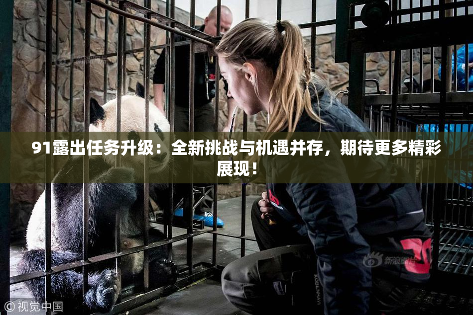 91露出任务升级：全新挑战与机遇并存，期待更多精彩展现！