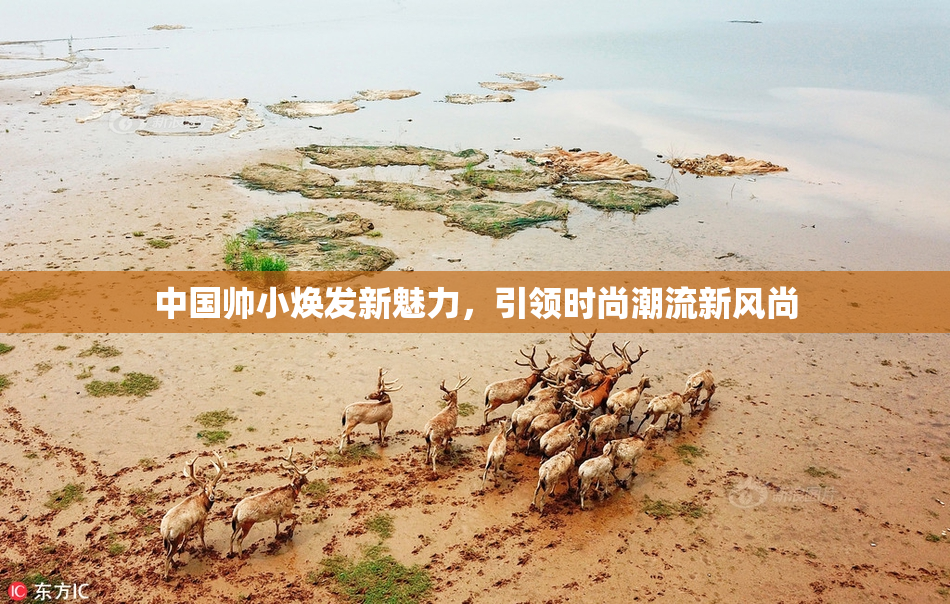 中国帅小焕发新魅力，引领时尚潮流新风尚