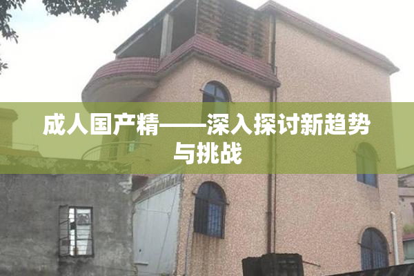 成人国产精——深入探讨新趋势与挑战