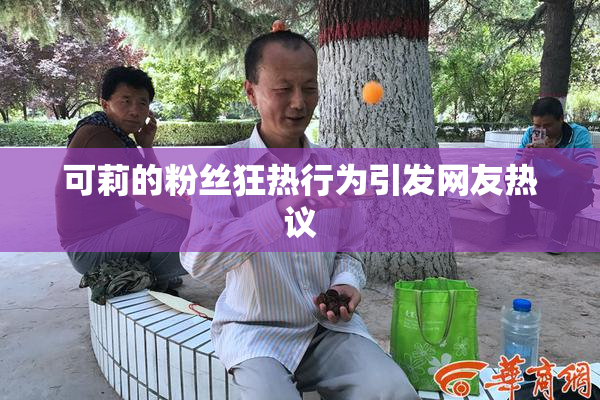 可莉的粉丝狂热行为引发网友热议