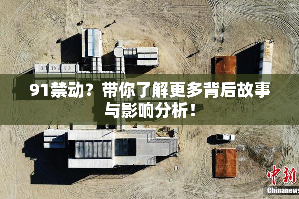 91禁动？带你了解更多背后故事与影响分析！