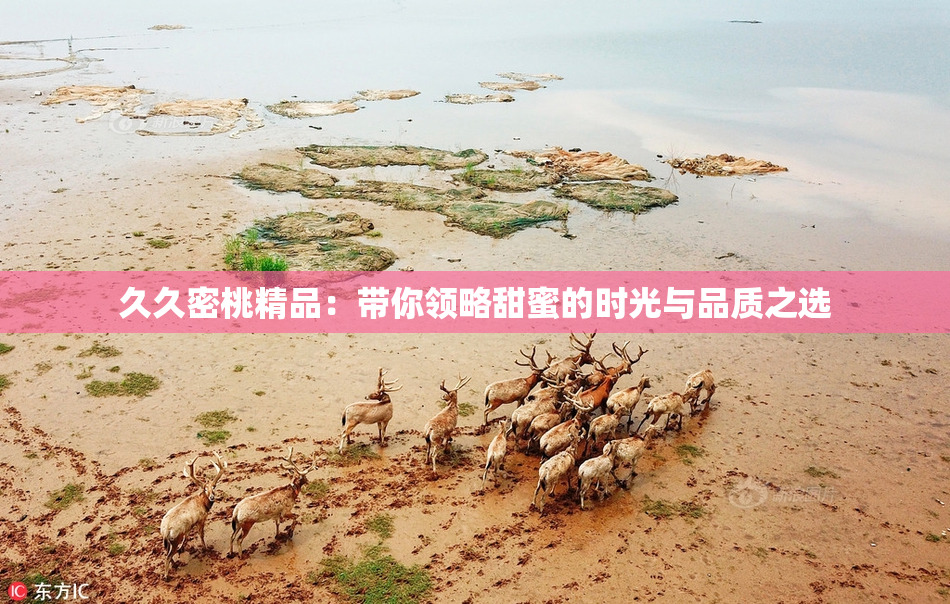 久久密桃精品：带你领略甜蜜的时光与品质之选