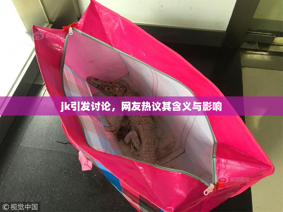 jk引发讨论，网友热议其含义与影响