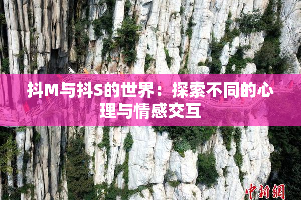 抖M与抖S的世界：探索不同的心理与情感交互