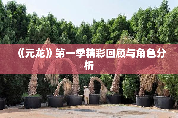 《元龙》第一季精彩回顾与角色分析