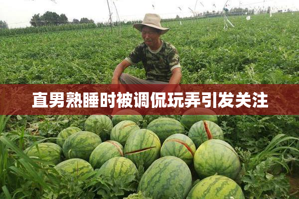 直男熟睡时被调侃玩弄引发关注