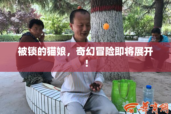 被锁的猫娘，奇幻冒险即将展开！