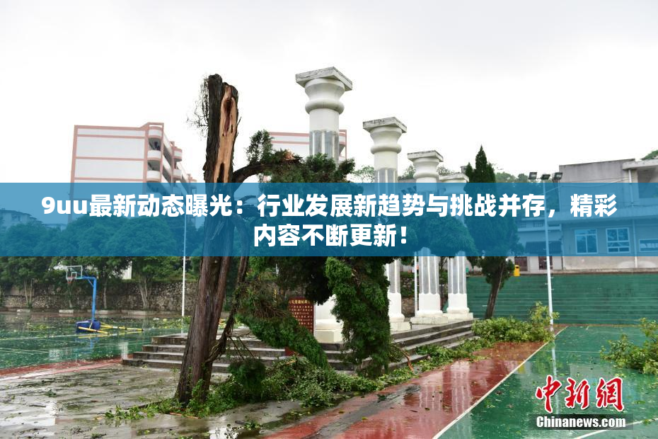 9uu最新动态曝光：行业发展新趋势与挑战并存，精彩内容不断更新！