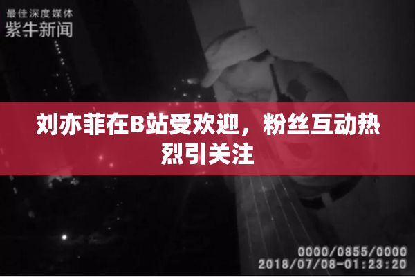 刘亦菲在B站受欢迎，粉丝互动热烈引关注