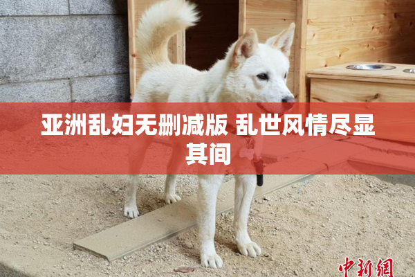 亚洲乱妇无删减版 乱世风情尽显其间
