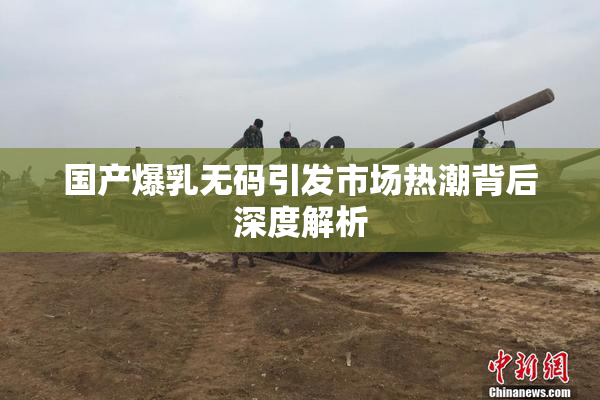 国产爆乳无码引发市场热潮背后深度解析