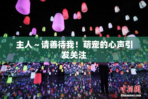 主人～请善待我！萌宠的心声引发关注