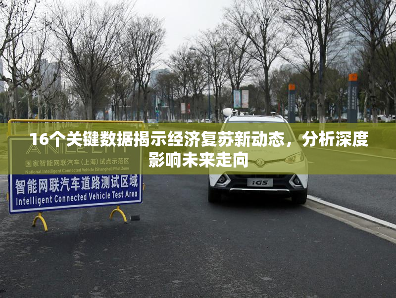 16个关键数据揭示经济复苏新动态，分析深度影响未来走向