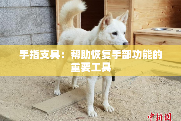 手指支具：帮助恢复手部功能的重要工具