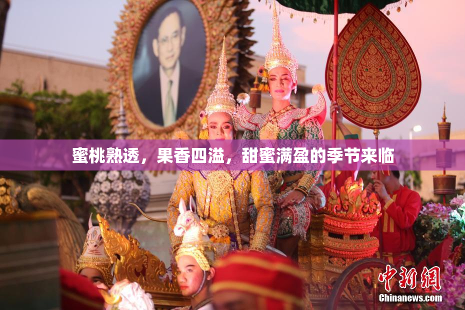 蜜桃熟透，果香四溢，甜蜜满盈的季节来临