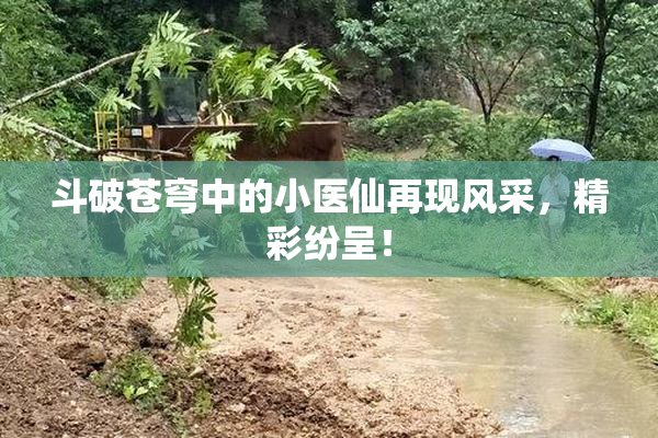 斗破苍穹中的小医仙再现风采，精彩纷呈！