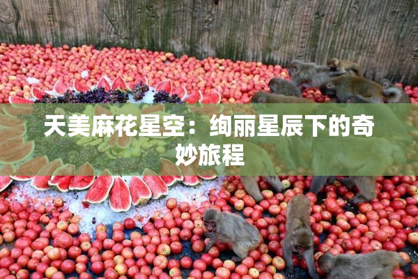 天美麻花星空：绚丽星辰下的奇妙旅程