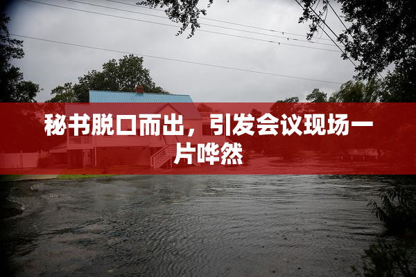 秘书脱口而出，引发会议现场一片哗然
