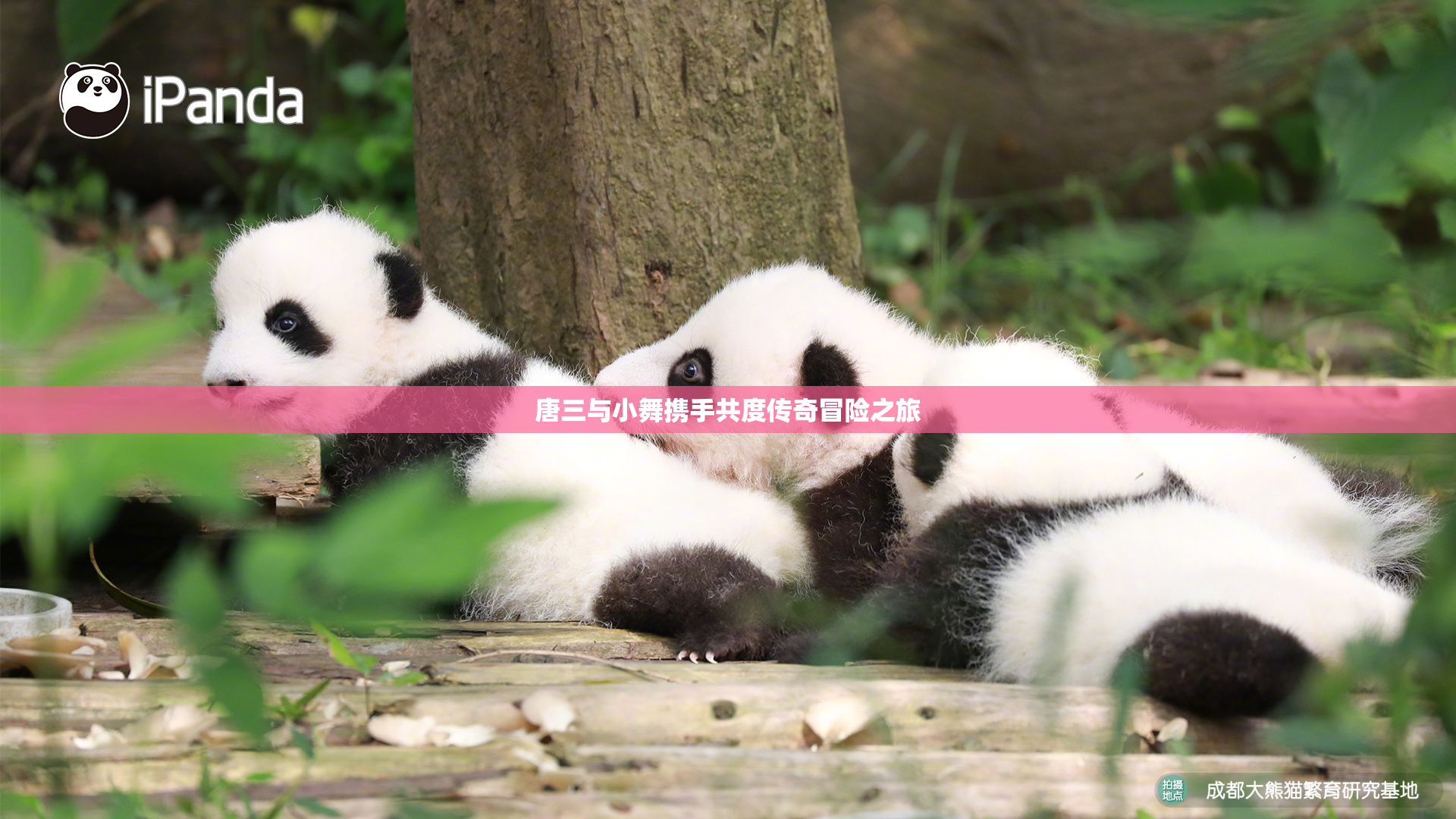 唐三与小舞携手共度传奇冒险之旅