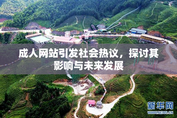 成人网站引发社会热议，探讨其影响与未来发展