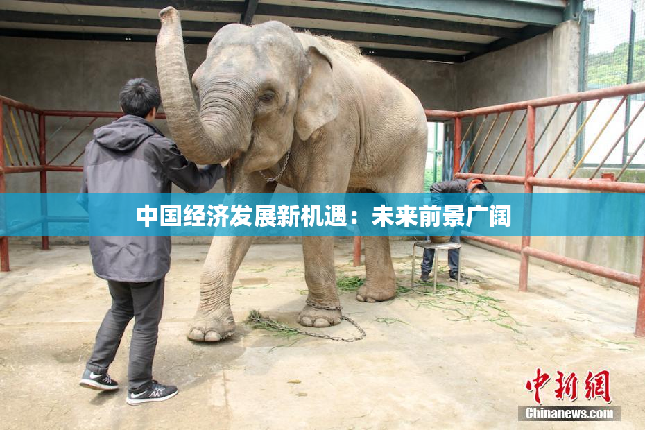 中国经济发展新机遇：未来前景广阔