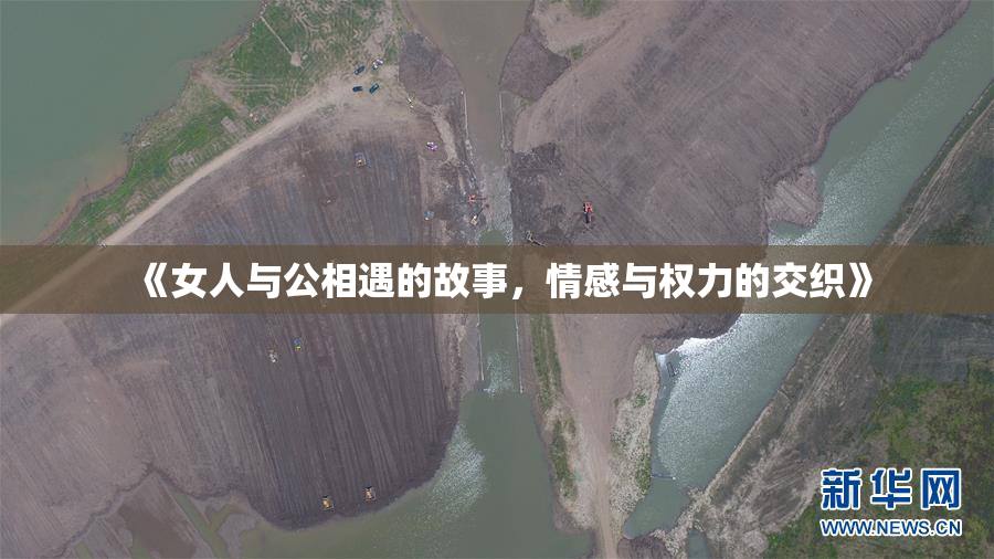 《女人与公相遇的故事，情感与权力的交织》