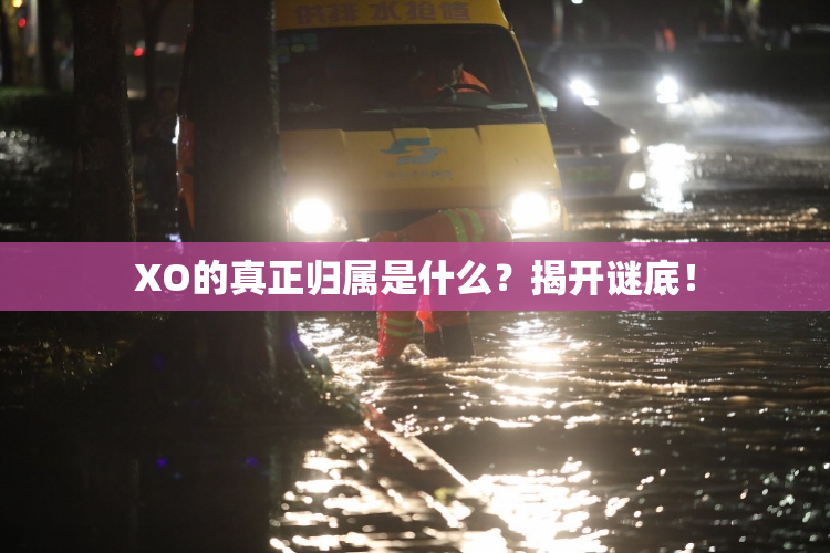 XO的真正归属是什么？揭开谜底！