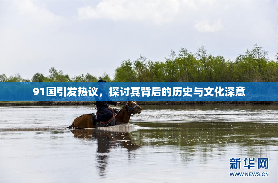 91国引发热议，探讨其背后的历史与文化深意