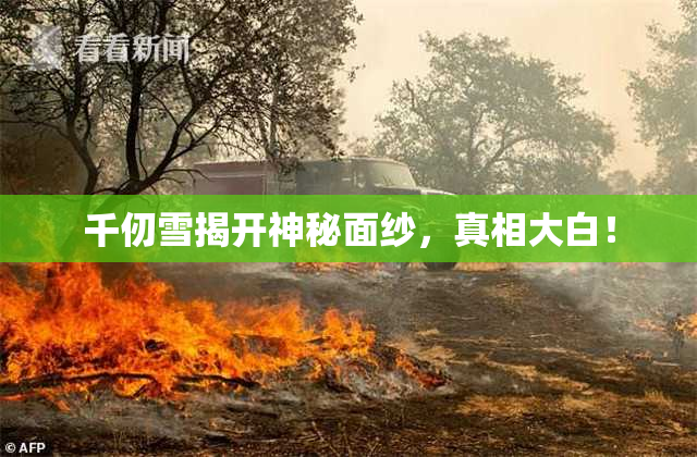 千仞雪揭开神秘面纱，真相大白！